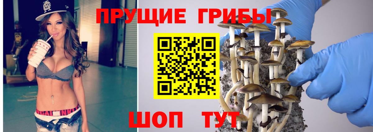 Псилоцибиновые грибы MAGIC MUSHROOMS  Вход с VPN  Псилоцибиновые грибы MAGIC MUSHROOMS  Кулебаки 